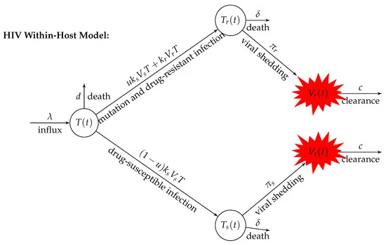 flowdiagram_mathematics.webp